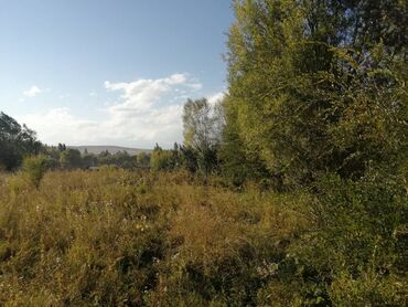 срочно продаю в связи с переездом: 15 соток, Курулуш, Кызыл китеп