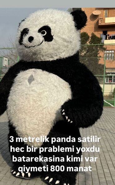 Hazır biznes: İşlək vəziyyətdə Panda satılır