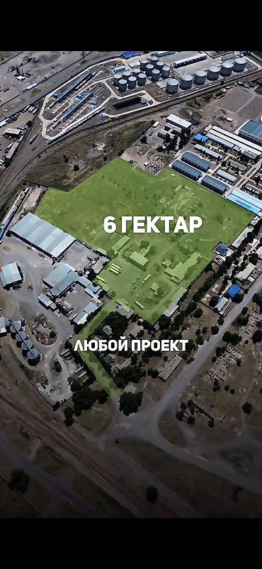 Земельные участки: 600 соток, Красная книга, Тех паспорт, Договор купли-продажи — 1