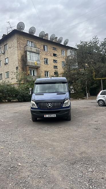 165 13: Mercedes-Benz Sprinter, синий пассажиро-грузовой фургон. Кузов и — 1