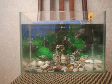 Akvariumlar: Dördbucaq akvarium, Boş, 20 l