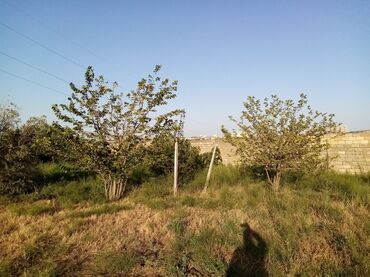 Uzunmüddətli kirayə evlər: 21 kv. m, 2 otaqlı, İnternet, Qaz, İşıq — 20