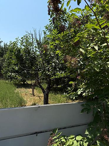 Продажа коттеджей и домов: Продаётся дом с большим участком в Сокулукском районе, в селе — 1