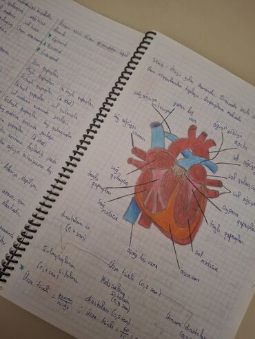 Bloknotlar: Anatomik ürək illüstrasiyası və tibbi qeydlər olan spiral cildli