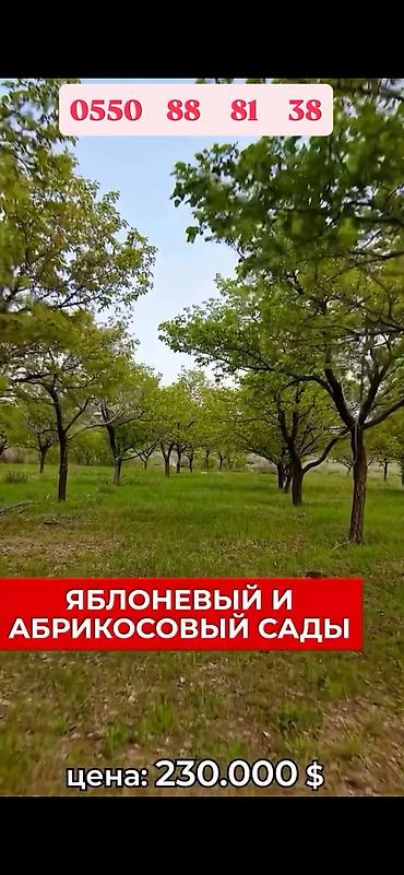 Продажа участков: 500 соток, Для сельского хозяйства, Красная книга at lalafo.kg — 12 Продажа участков: 500 соток, Для сельского хозяйства, Красная книга — 12