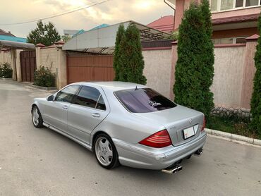 s55 amg: Mercedes-Benz S-class AMG: 5 л | 2001 г. | Седан
