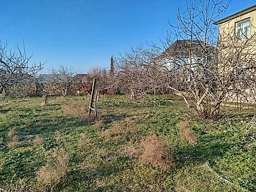 barter kupça: 12 sot, Tikinti, Maklerlər narahat etməsin, Kupça (Çıxarış) — 6