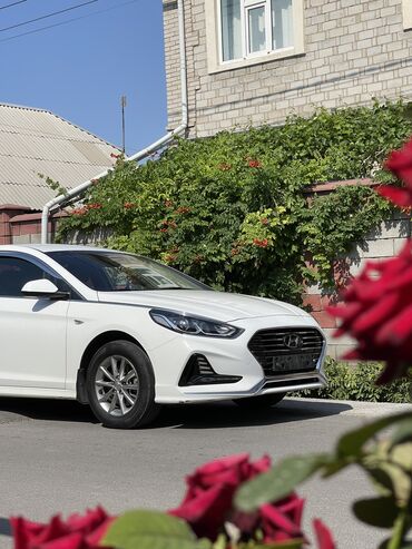 рос номер: Hyundai Sonata: 2019 г., 2 л, Автомат, Газ, Седан