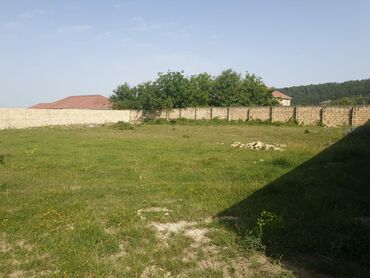 Torpaq sahələrinin satışı: 15 sot, Kənd təsərrüfatı, Mülkiyyətçi, Kupça (Çıxarış) — 5