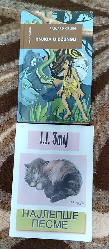 Knjige: Veliki izbor knjiga različitih žanrova i izdanja. - Beletristika i — 16