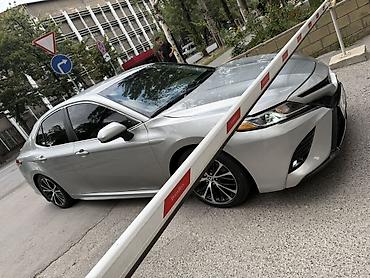 шины на камри: Toyota Camry: 2019 г., 2.5 л, Автомат, Бензин, Седан — 1