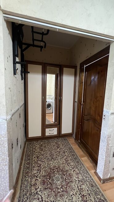 капсулы для стирки 4 в 1: Кийим салуучу шкаф, Колдонулган, Түз, Жыгач