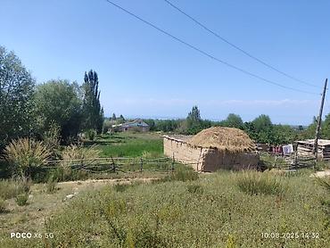 5: 🏡 Продаётся дом с большим участком и плодоносящим садом в селе — 10