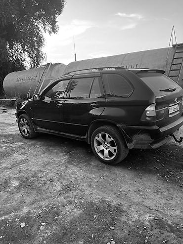 radiator kg: BMW X5: 2003 г., 3 л, Автомат, Дизель, Кроссовер — 5