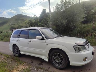 Продажа авто: Subaru Forester: 2004 г., 2 л, Автомат, Бензин, Универсал — 2