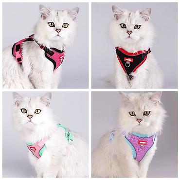 Зоотовары: Продаю игрушку/когтеточку/лежанку 3в1,с кошачей мятой,вашему котику — 7