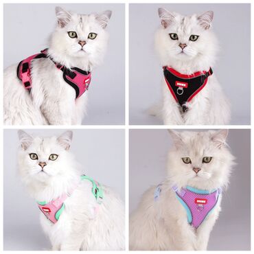 Товары и оборудование для с/х животных: Продаю новые в отличном качестве кошачие лотки крытые и открытые с — 13