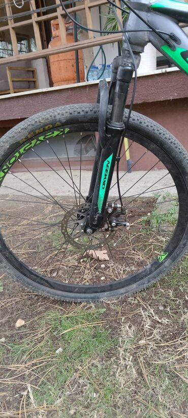 Bicikli za odrasle: Planinski bicikl Capriolo (ram sa zeleno-crnim detaljima) - Veličina — 9