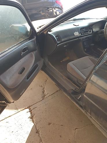 Транспорт: Honda Accord: 1995 г., 2.2 л, Автомат, Бензин, Универсал — 6