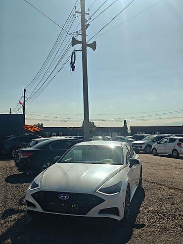 фильтр соната: Hyundai Sonata: 2020 г., 1.6 л, Автомат, Бензин, Седан — 1