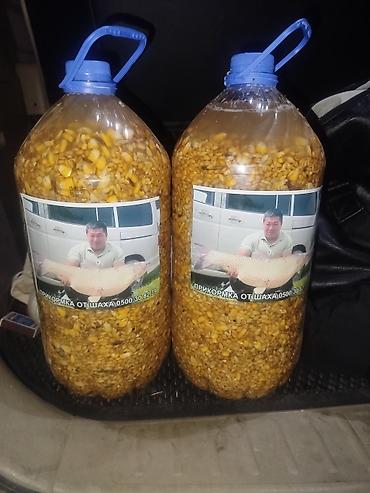Продаю микс прикормку,на сазана, амура, состав кукуруза вареная at lalafo.kg Продаю микс прикормку,на сазана, амура, состав кукуруза вареная