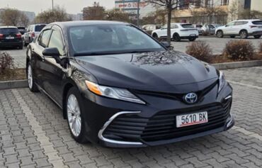 тойота камри 40 гибрид: Toyota Camry: 2020 г., 2.5 л, Автомат, Гибрид, Седан