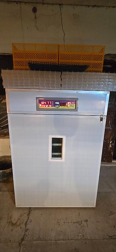 İnkubatorlar: 1100 yumurta, Çin, Fabrik istehsalı, Azərbaycan dilində təlimat, Tam avtomat — 2