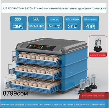 Оборудование для производства: Инкубаторы с двойным электроприводом и полностью автоматическим — 2