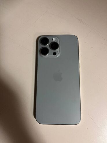 Тарелки: IPhone 15 Pro Max, 256 ГБ, Natural Titanium, Отпечаток пальца, Face ID
