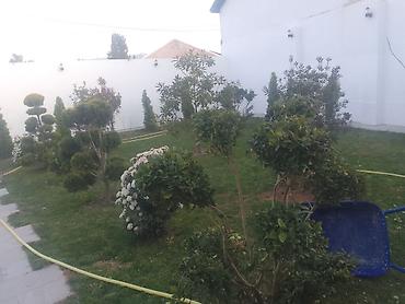bag evinde is axtariram: Bağban axran işderi axtarıram bağa ayid bütün işlər işdəyirəm qazon — 9