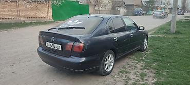 2001: Nissan Primera: 2001 г., Седан — 2