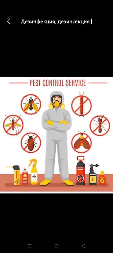Дезинфекция, дезинсекция: Дезинфекция, дезинсекция, | Клопы, Блохи, Тараканы, | Транспорт, Офисы, Квартиры at lalafo.kg — 2 Дезинфекция, дезинсекция: Дезинфекция, дезинсекция, | Клопы, Блохи, Тараканы, | Транспорт, Офисы, Квартиры — 2