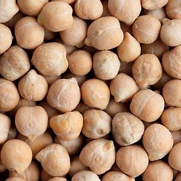 Другие сеялки: 🔥 посевной комплекс cansa (турция) по супер цене! 🔥 сеялка — 7