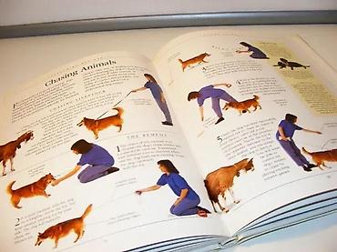 lokatori za pse: Kompletan priručnik za obuku pasa od Brucea Foglea, RSPCARSPCA — 5