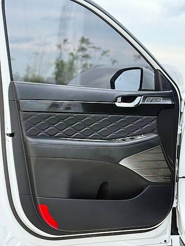 go park: Hyundai Palisade: 2021 г., 2.2 л, Автомат, Дизель, Кроссовер — 8