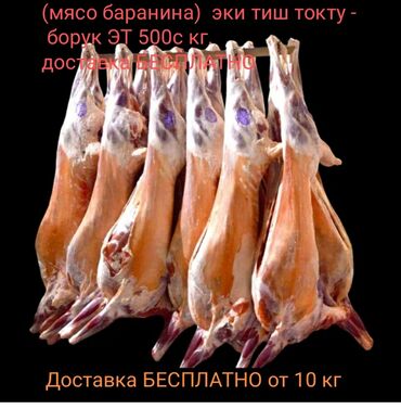 цена на баранину: Мясо баранина 500с.кг
доставка БЕСПЛАТНО от 10 кг