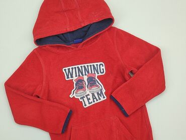 kurtki jesienne chłopięce: Sweatshirt, Lupilu, 5-6 years, 110-116 cm, condition - Good