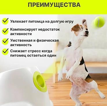 3d сетка: Автоматическая катапульта для собак
В комплекте 3 мяча — 3