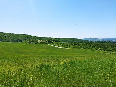 bilgəh torpaq satışı: 524 sot, Biznes üçün, Barter mümkündür, Kupça (Çıxarış) — 3