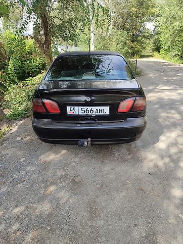 киа морнинг сатып алуу: Nissan Primera: 2002 г., Кол менен иштөөчү, Седан — 5