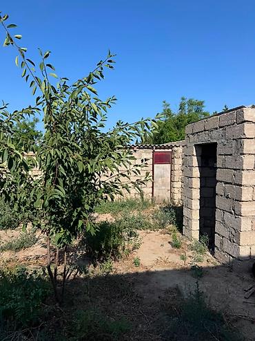 ağdaş emlak: Bakı, 55 kv. m, 2 otaqlı — 5