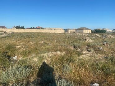 zirə pomidoru: 20 sot, Tikinti, Mülkiyyətçi