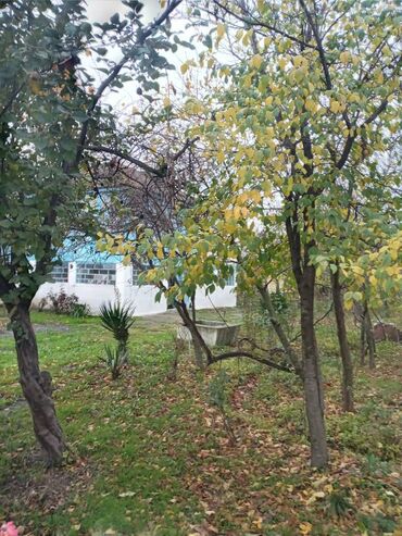 Həyət evləri və villaların satışı: 4 otaqlı, 110 kv. m, Kredit yoxdur, Təmirsiz — 5