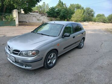 авто из кореи в наличии в бишкеке: Nissan Almera: 2004 г., 1.5 л, Механика, Бензин, Хэтчбэк