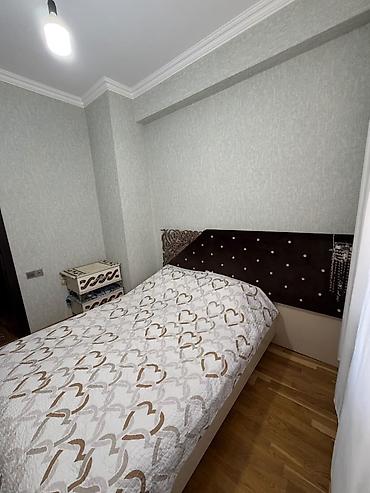 bileceri ucuz kiraye evler: 2 otaqlı, Yeni tikili, 43 kv. m — 8