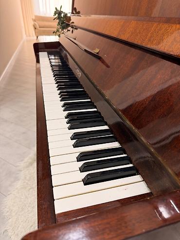 mini piano: Piano, Belarus, Akustik, İşlənmiş — 3