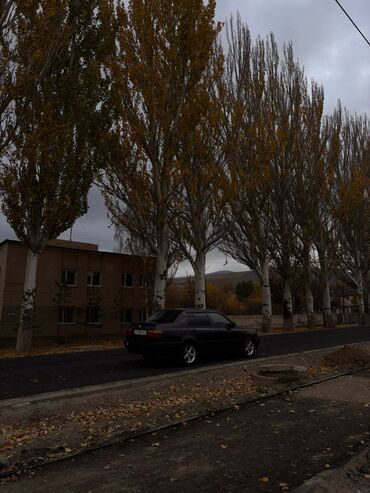 купить бу шины в бишкеке: Volkswagen Vento: 1993 г., 1.8 л, Механика, Бензин, Седан