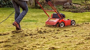 Газон: 🌱🌱🌱Аэрация газона 🌱🌱🌱