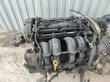 Стабилизаторы и детали стабилизаторов: Двигатель Ford Focus 1.6 IQDB 2011 (б/у)