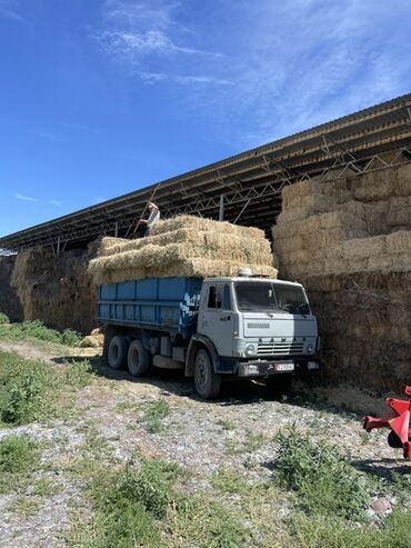 Грузовики: Грузовик, Камаз, Стандарт, Б/у — 4